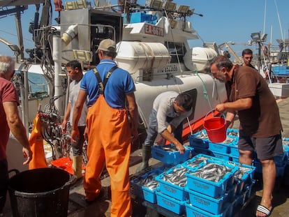 El barco 'Playa Yerbabuena', después de estrenar el acuerdo de pesca entre la UE y Marruecos en 2021, de regreso al puerto de Barbate tras faenar en aguas marroquíes.