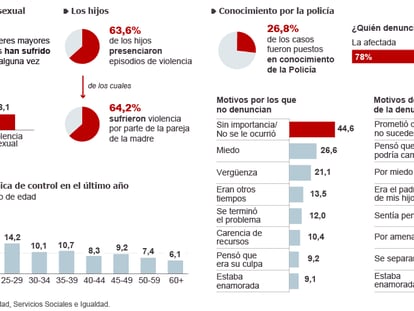 Macroencuesta sobre violencia de género