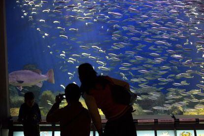 Aquarium Finisterrae de A Coru&ntilde;a, una de las instituciones que investiga la juez encargada de la Operaci&oacute;n Pok&eacute;mon.
