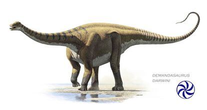 Ilustración del dinosaurio <i>Demandasaurus darwini</i>, cuyos restos fósiles se encontraron en un yacimiento cercado a Salas de Los Infantes (Búrgos).