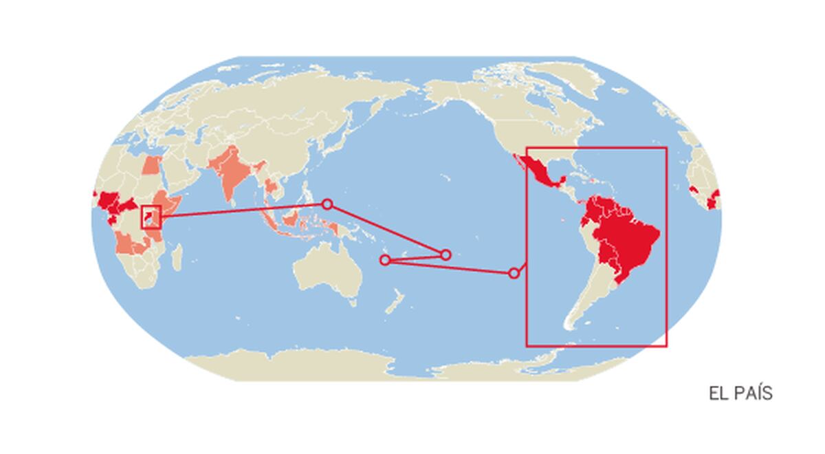 Evolución Del Virus Zika En El Mundo Internacional El PaÍs 3688