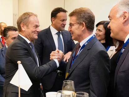 El líder del PP, Alberto Núñez Feijóo (d), saluda al líder de la oposición polaca Donald Tusk (i) durante la cumbre del Partido Popular Europeo previa al Consejo Europeo de otoño, este jueves, en Bruselas. Distribuida por el PP.