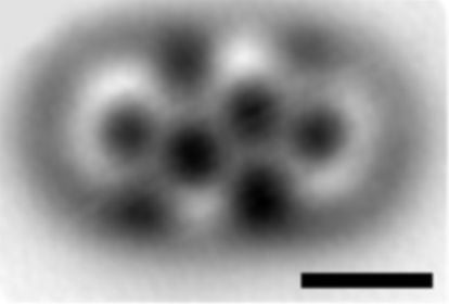 Una molécula con 18 átomos de carbono y ocho de hidrógeno, modificada con un microscopio de IBM en Zúrich.
