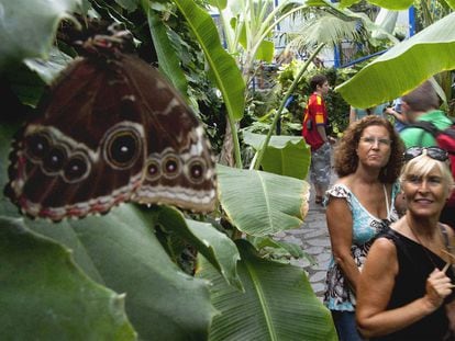 Un aspecto del Mariposario del Parque de las Ciencias de Granada, el pasado miércoles.