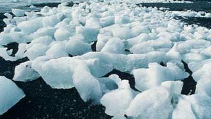 Bloques de hielo en la península Antártica en 1990.