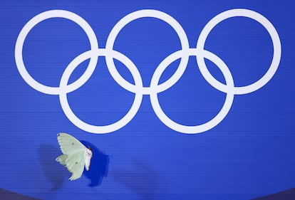 Los aros olímpicos durante los Juegos 3.021 en la Tierra.