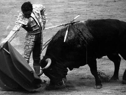 Paco Camino, en una actuación del año 1975.