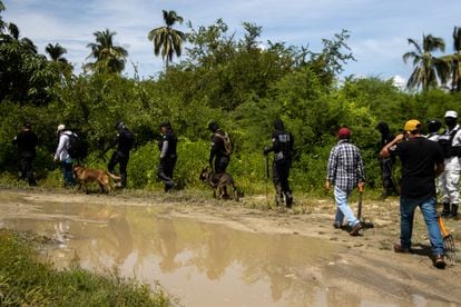 El equipo de búsqueda sigue el rastro del desaparecido Vicente Suástegui en el poblado de El Arenal (Guerrero).