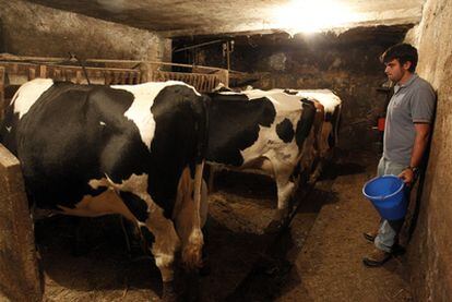 Un ganadero en su explotación de La Encrucijada (Asturias).