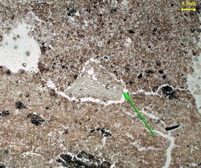 Micrograf&iacute;a de un fragmento de hueso calcinado en la cueva de Wonderwerk (Sud&aacute;fica). 