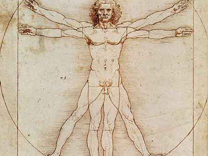 Dibujo del <i>Hombre de Vitrubio</i>, de Leonardo da Vinci, que se expone estos días en Bruselas.