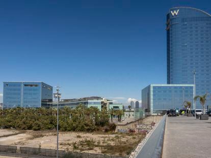Parcela de tierra, junto al Hotel W y las oficinas de Desigual donde está previsto construir el Hermitage de Barcelona, en el puerto de la ciudad.