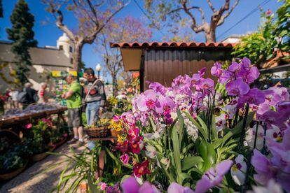 El Mercado de las Flores. 