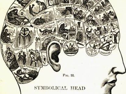 Mapa frenol&oacute;gico del siglo XIX. Un cerebro con el lenguaje natural de las facultades humanas.