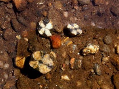 Ejemplares de Andalucita, un mineral atribuido a las lágrimas de una joven española por su amante araucano.