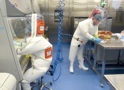 Investigadores trabajan en el Instituto de Virología de Wuhan, que algunas teorías apuntan como el origen del SARS-CoV-2.