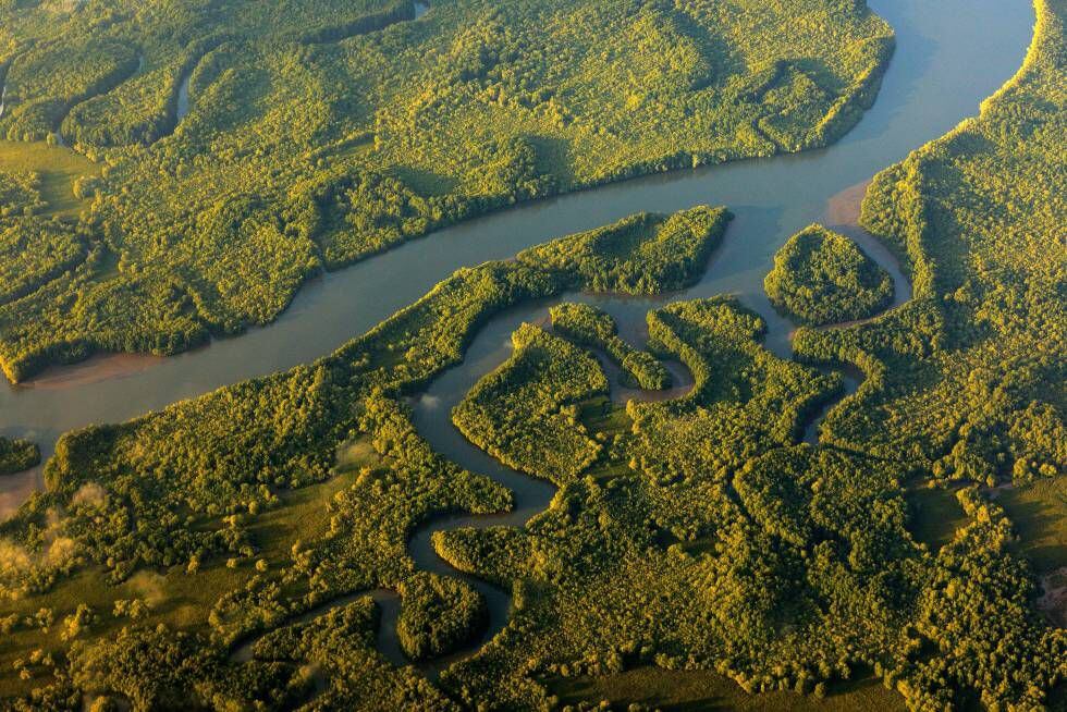 Ríos y lagos del parque nacional de Corcovado (Costa Rica), fotografiados desde un avión.