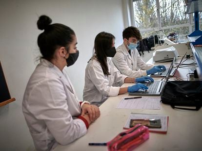 Alumnos de grado de Biotecnología de la Universidad Pública de Navarra durante unas prácticas.
