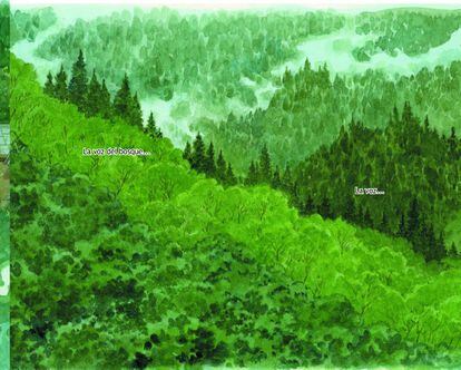 Viñeta de 'El bosque milenario' (Ponent Mon), de Jiro Taniguchi.