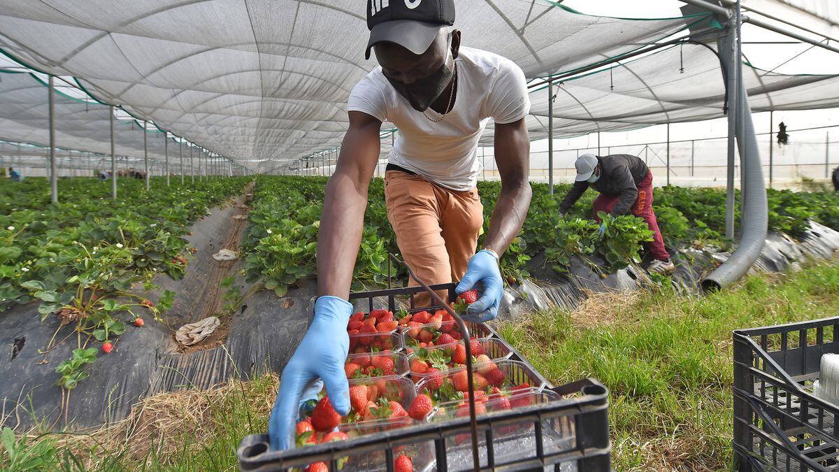 La regolarizzazione di massa degli immigrati scuote la politica italiana |  Internazionale