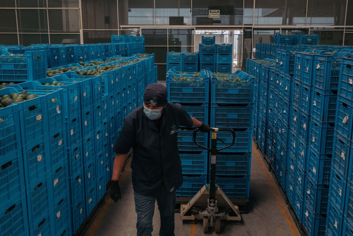 ¿Quiénes son los ganadores y los perdedores con los ‘superpesos’ mexicanos?