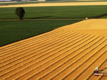 Tecnología para cultivar una mejor reputación