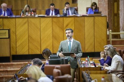 El consejero de Sostenibilidad, Medio Ambiente y Economía Azul, Ramón Fernández-Pacheco, interviene en el Parlamento de Andalucía.