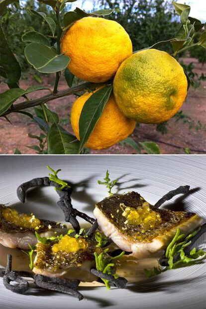 De arriba abajo, árbol de yuzu en Elche; <b>Trucha con falsos sarmientos, leche de coco, yuzu fresco y alga de tierra</b><i>, </i>de Rodrigo de la Calle.