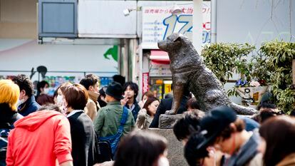 Peatones atravesando la plaza de la estación de Shibuya, presidida por la estatua del perro 'Hachiko'.