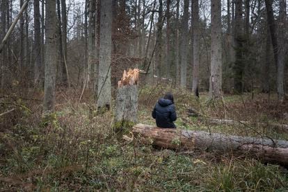 Kasia Wappa checks her mobile while searching for the group of Syrians in the Bialowieza Forest. 