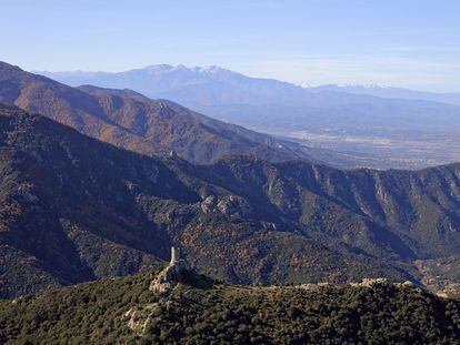 El massís de l'Albera, és el principal contrafort oriental dels Pirineu.