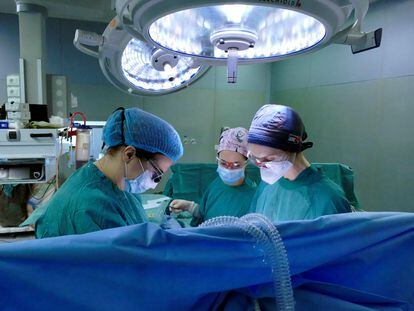 Un equipo médico italiano efectúa un trasplante de tráquea a un infectado por covid el pasado 15 de abril.