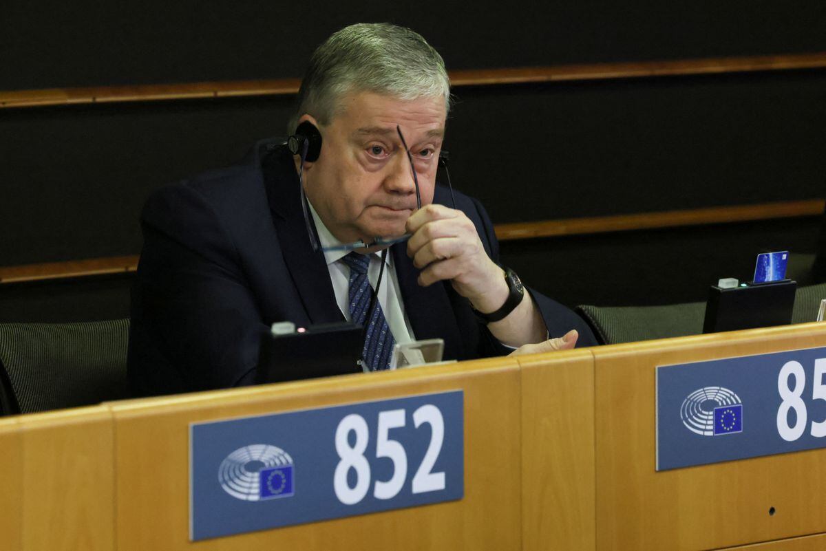 La Eurocámara levanta la inmunidad a dos eurodiputados por el ‘Qatargate’ | Internacional