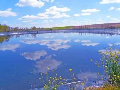 El ecosistema de las tres lagunas de la Dehesa de Abajo, en Medina del Campo (Valladolid), ha sido recuperado por Aqualia, tras años de sobreexplotación de los acuíferos.