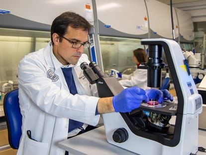 El investigador Miguel Flores-Bellver, en el laboratorio del CellSight de la Universidad de Colorado (EE UU). Al fondo, Valeria Canto-Soler.