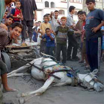 Varios niños posan en el lugar del ataque, en el que el carro de un palestino, tirado por un burro, ha resultado alcanzado.