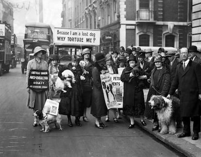 defensores de los animales en Londres