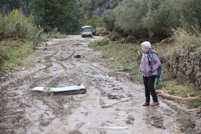 Una dona observa els danys causats a la carretera d'accés a la població de Vilaverd.