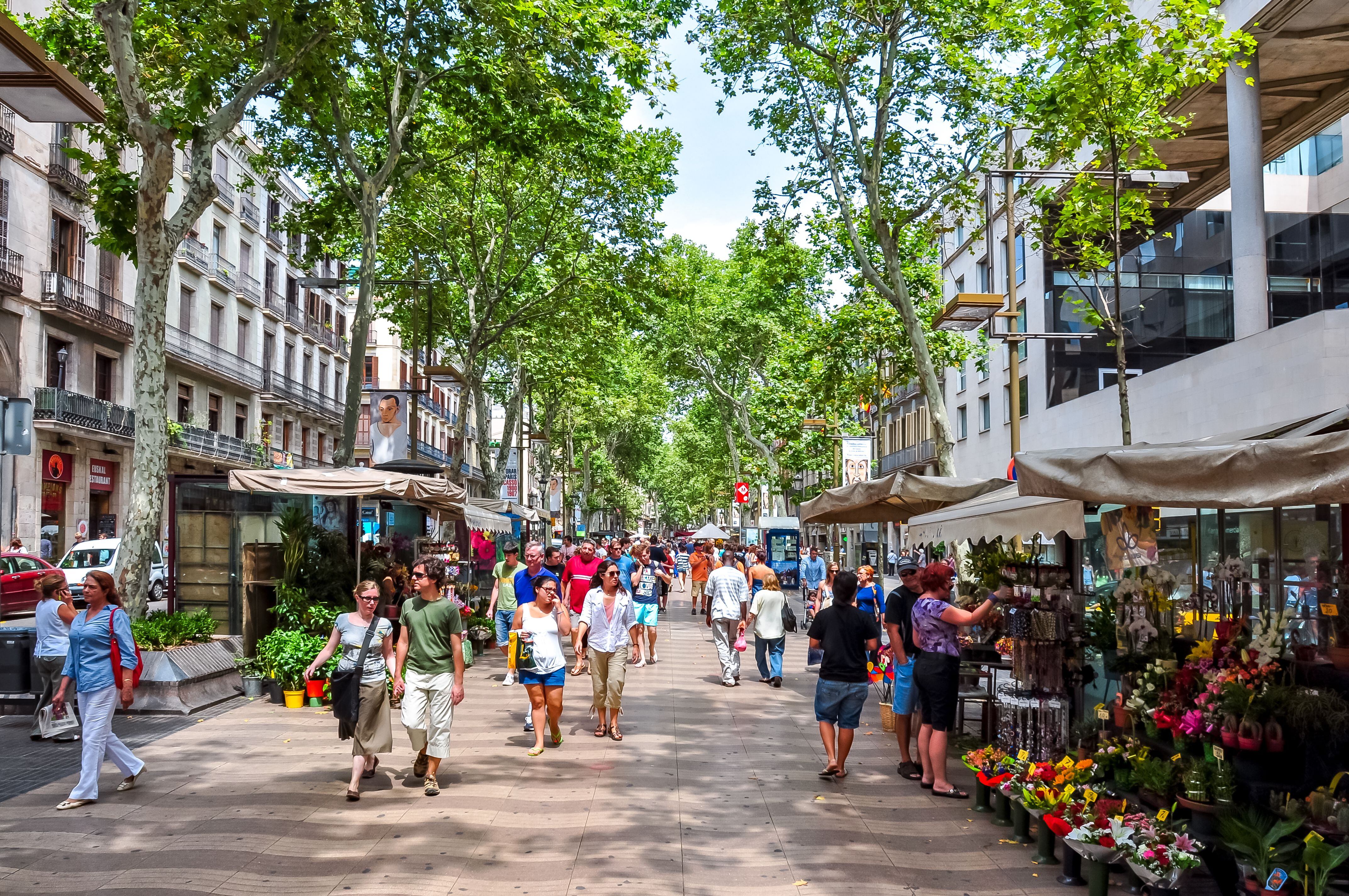 La Rambla de Barcelona adopta el nombre de la Rambla de les Flors por los puestos allí instalados desde hace más de un siglo.