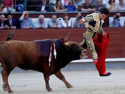 El tercer toro de la tarde del martes en Las Ventas enganchó por la taleguilla a Tomás Campos.