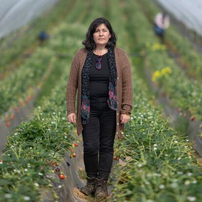 La Redondela/Huelva/25-03-2022: La ingeniera agrónoma Antonia Pérez  en una finca de fresas de la localidad onubense de La Redondela. FOTO: PACO PUENTES/EL PAIS