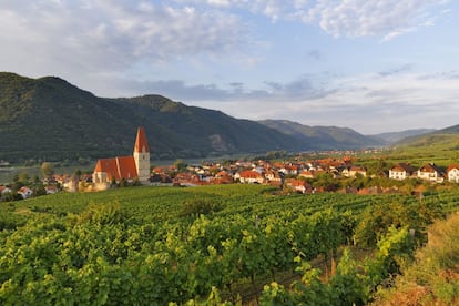 En el corazón del Wachau se encuentra Weißenkirchen, un pequeño pueblo vitivinícola a orillas del Danubio que es una parada obligatoria para quienes recorran este el valle austriaco. Además de las vistas y un ambiente bucólico, en Weißenkirchen podemos visitar la iglesia local, de estilo gótico y levantada en el siglo XIV, que alberga además la escuela infantil más antigua de Austria.