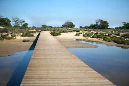 Una pasarela de madera conduce a la playa de la Torre Derribada, en San Pedro del Pinatar, Murcia.