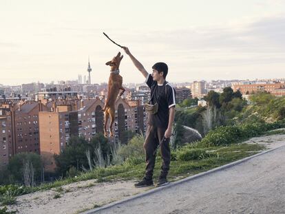 Tacón es un podenco. La familia de Pablo Rojas lo adoptó en un pueblo cuando iban a tirarlo a un pozo. Pablo dice que Tacón "solo se junta con podencos". Estamos en el parque de las Siete Tetas, Vallecas. Madrid está parado y hay poca contaminación. De fondo se ve el famoso Pirulí, la torre de telecomunicaciones de Radiotelevisión Española.