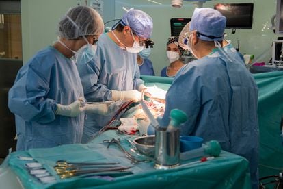 Un equipo médico del Hospital Clínic de Barcelona opera a un paciente.