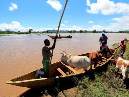 Los pastores en Budalangi, en el condado de Busia, Kenia, usan un bote para llevar su ganado a través de las aguas después de que sus casas se inundaran tras el desbordamiento del río Nzoia, en mayo de 2020.