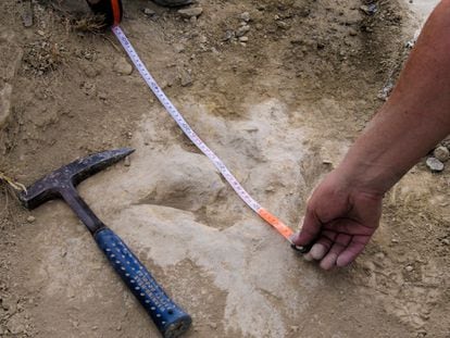 Preliminary measurement of one of the tracks during field work.