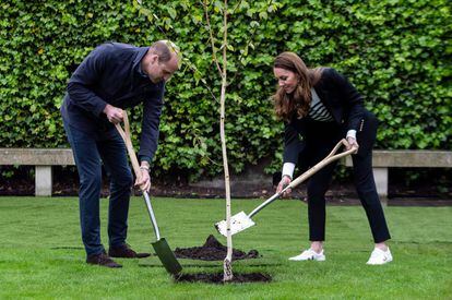 Durante su visita a Saint Andrews, este miércoles, los duques de Cambridge también participaron en una ceremonia de plantación de árboles.