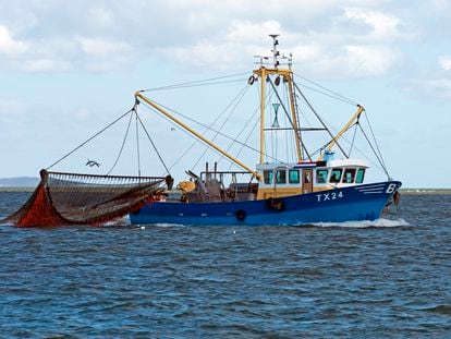 Pesca en Holanda