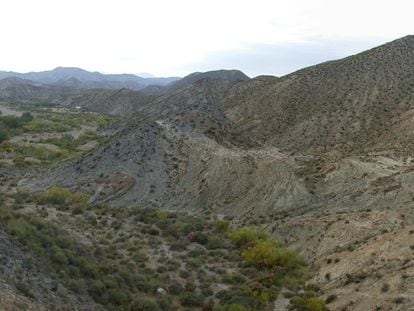 Panorámica parcial del posible cráter, a los pies del Cerro Negro, en el desierto de Tabernas, donde han encontrado concentraciones inusuales de iridio.